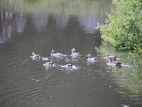 Jugendangellager 2025 045