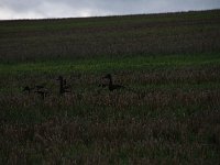 Jugendangellager 2025 099